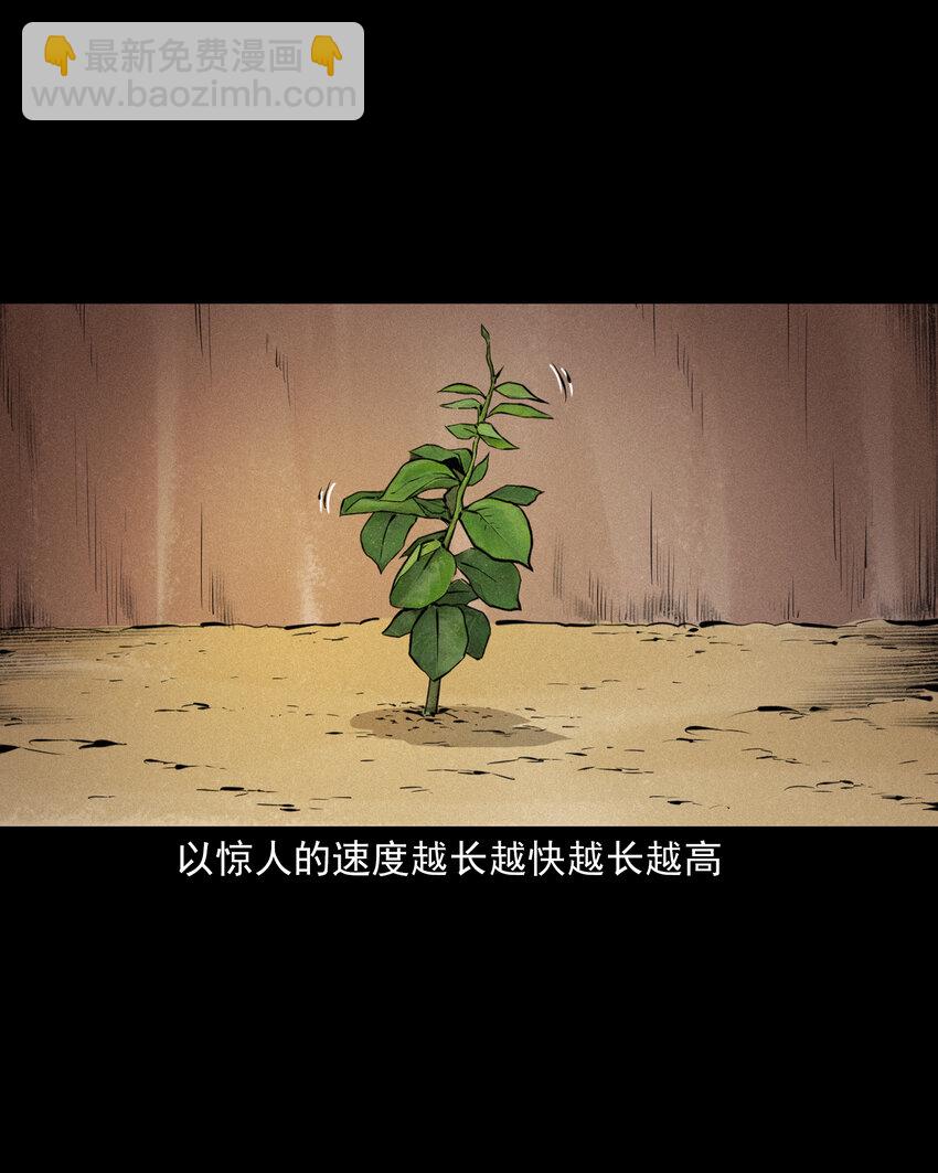 42 第42话仙道种梨-第42话