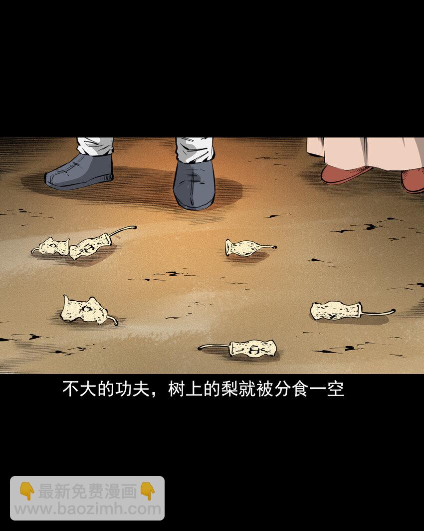 42 第42话仙道种梨-第42话