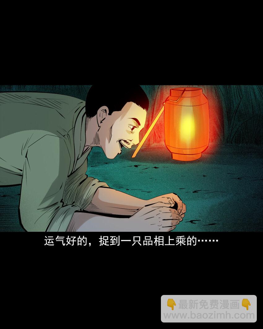 78 第78话神虫-第78话