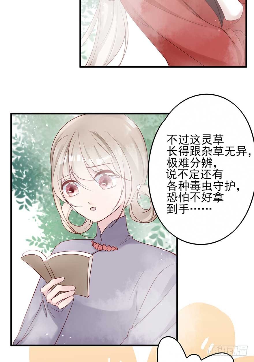 到了打副本的时候了！-第46话
