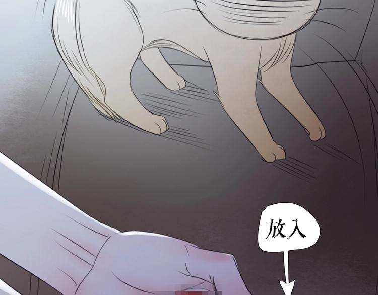 🍔莉莉丝的世界 番外  虚惊一场喵 第29页