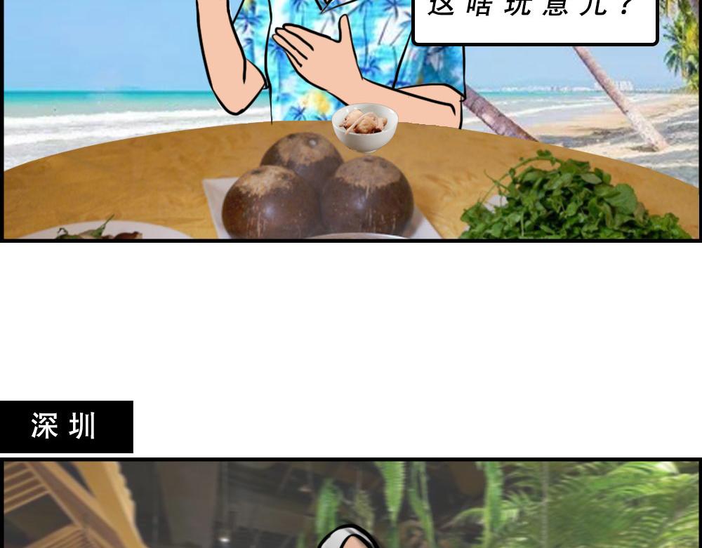 真正的深圳特产，来自海南？(1/2)-第34话