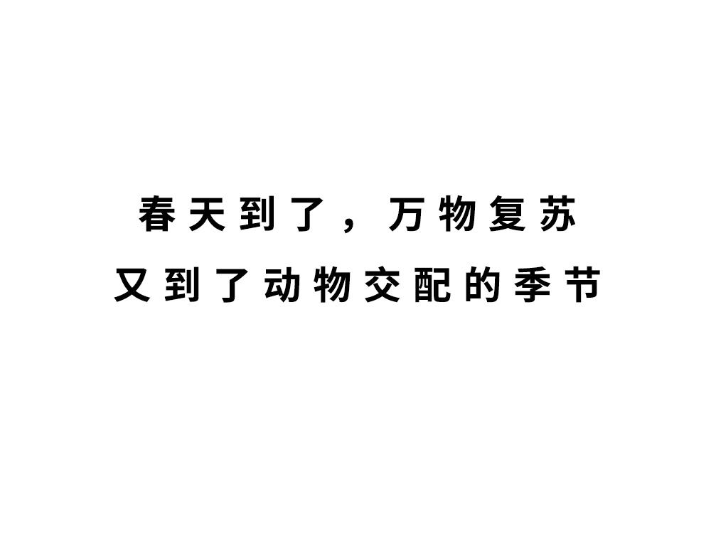 广东人的夜晚：啪啪啪啪啪啪啪啪(1/2)-第46话