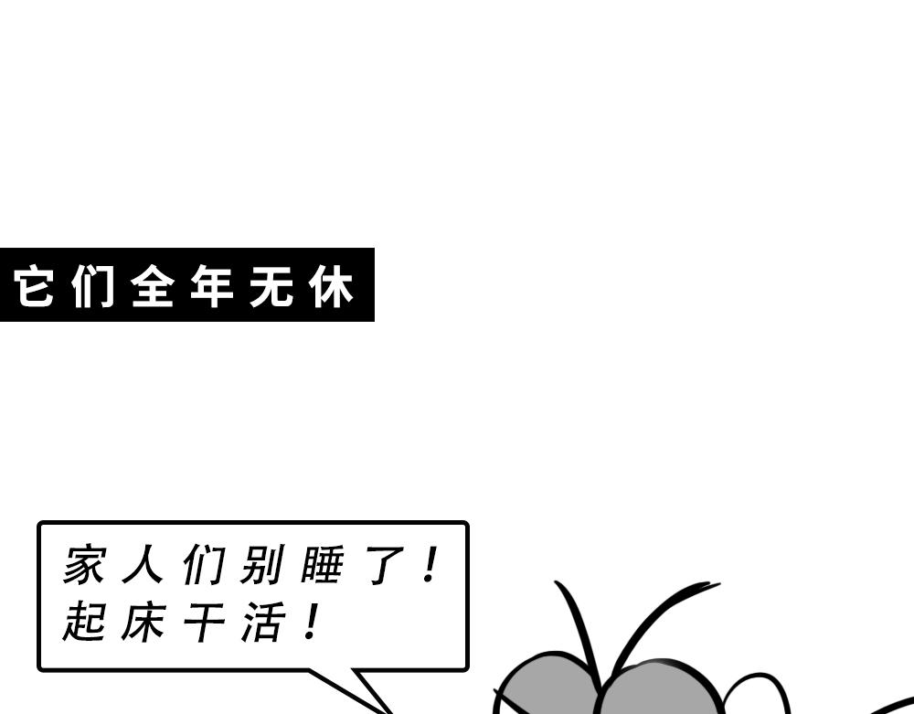 广东人的夜晚：啪啪啪啪啪啪啪啪(1/2)-第46话