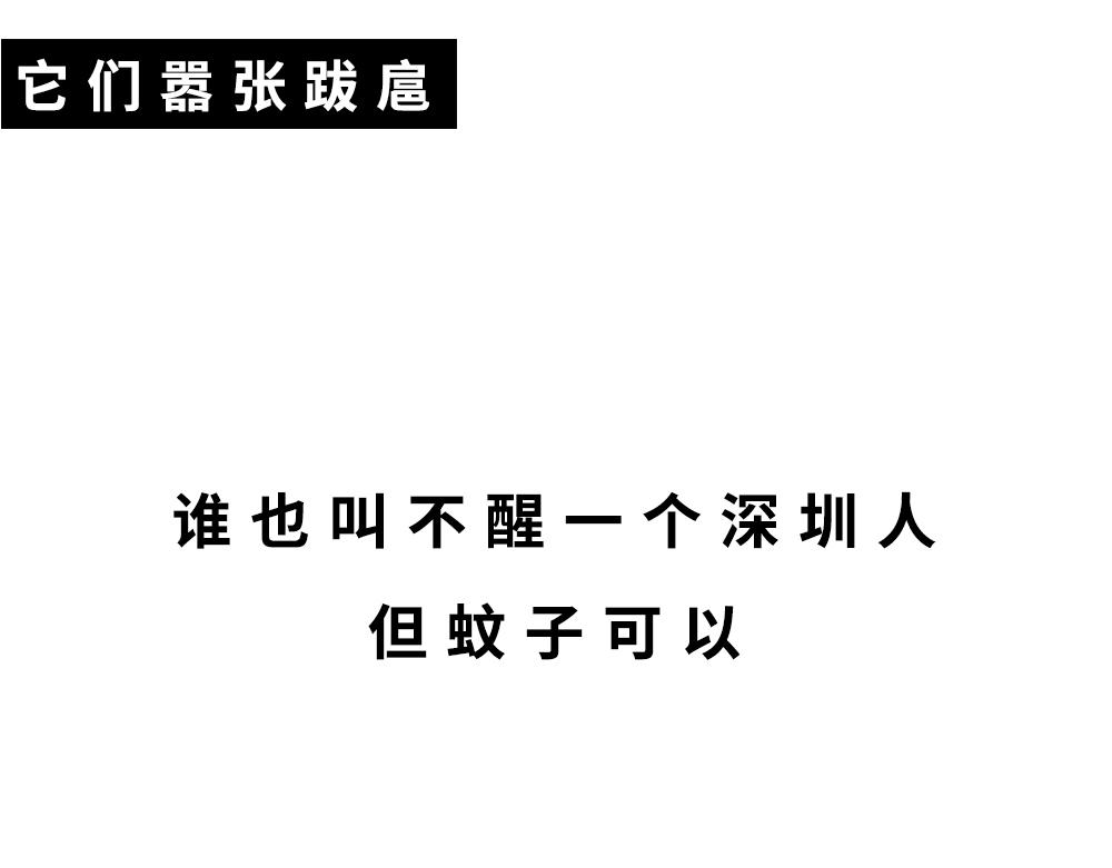 广东人的夜晚：啪啪啪啪啪啪啪啪(1/2)-第46话