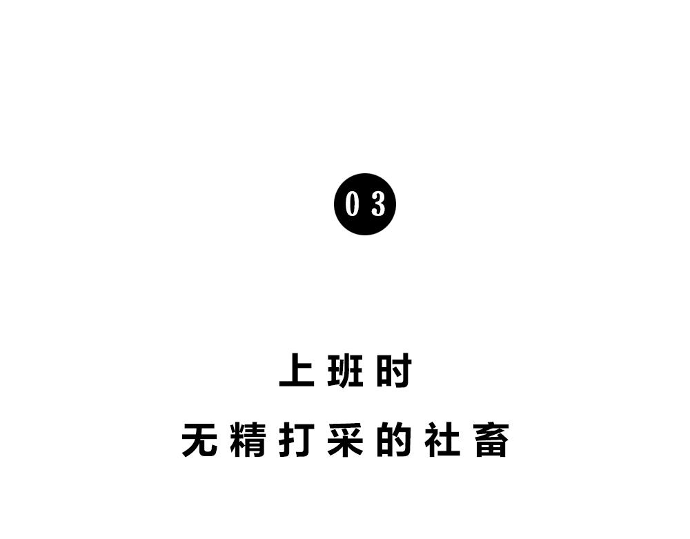 深圳人：谁说我土!-第50话