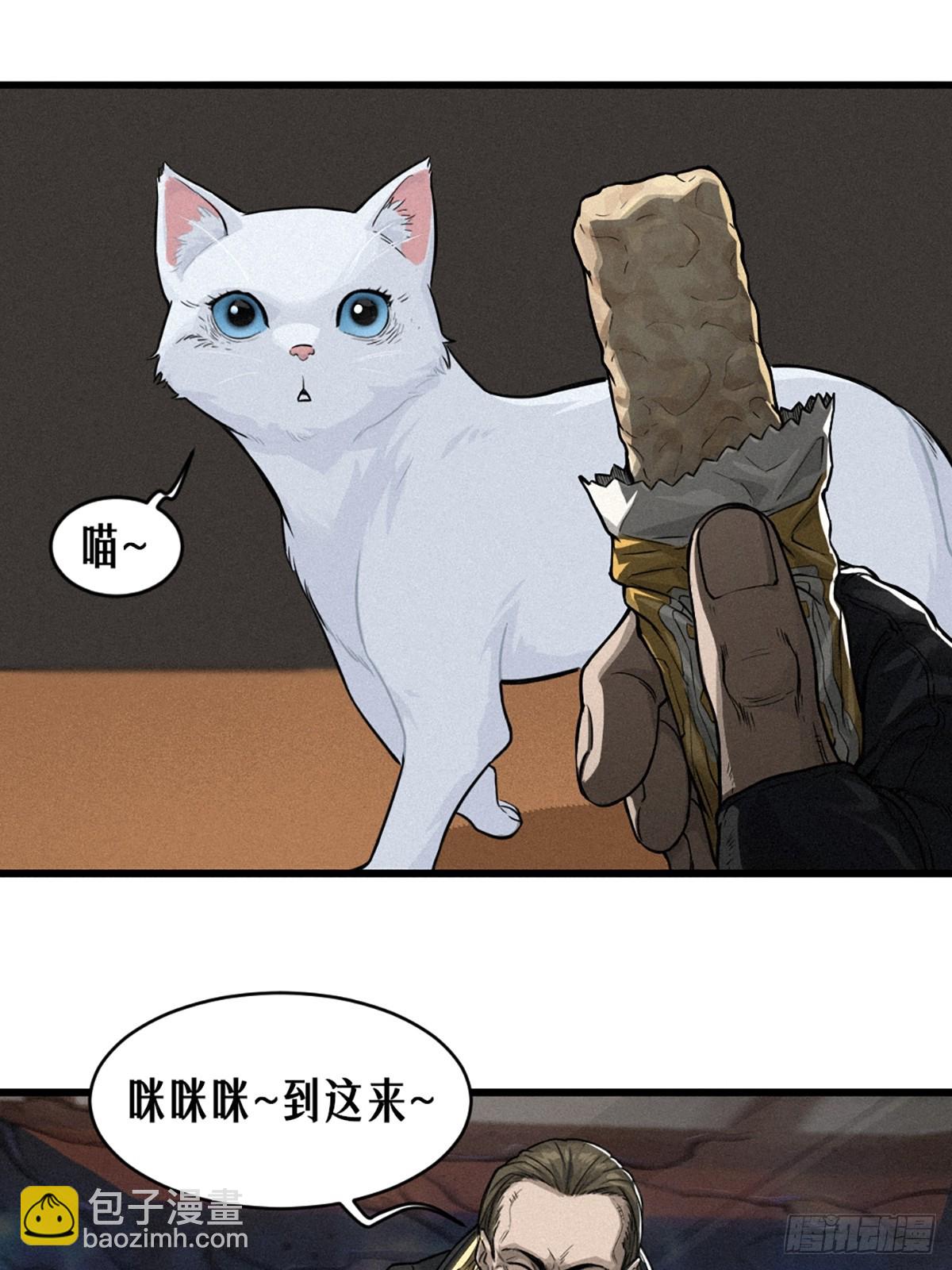 029 护猫使者（上）(1/2)-第44话