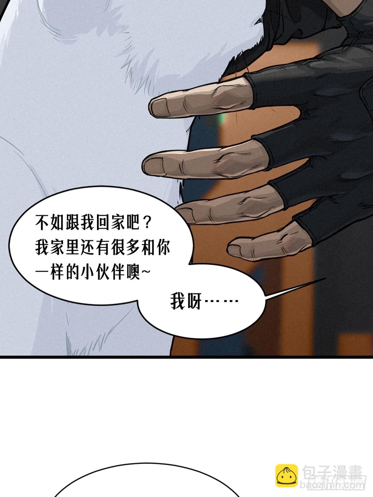 029 护猫使者（上）(1/2)-第44话