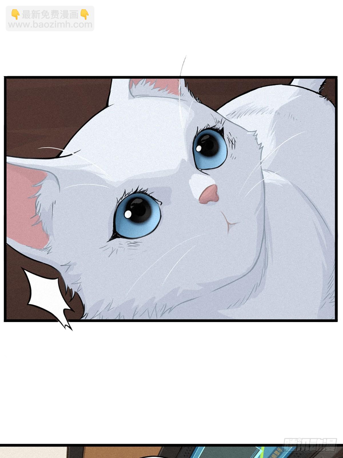 029 护猫使者（上）(1/2)-第44话