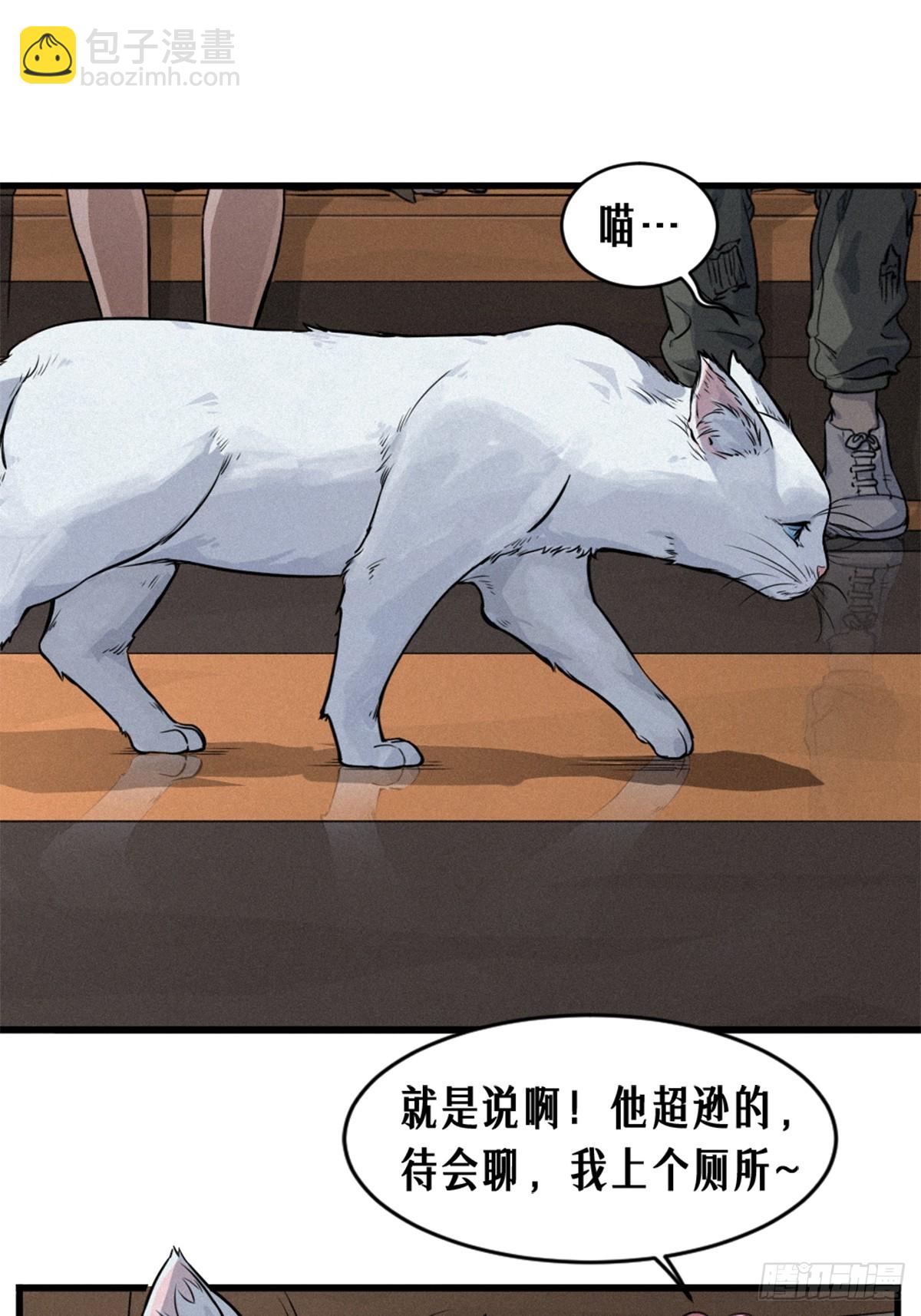 029 护猫使者（上）(1/2)-第44话