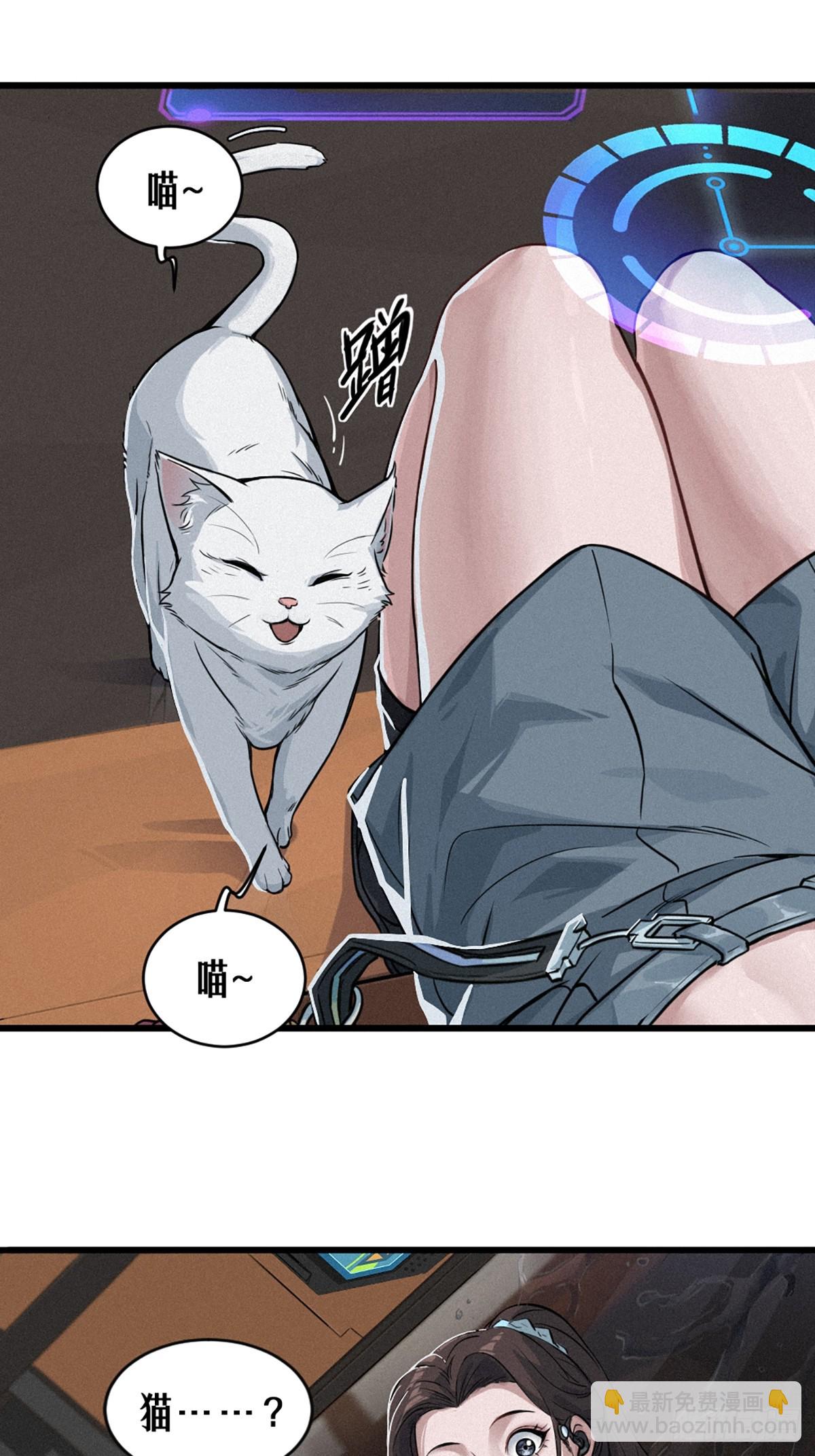 029 护猫使者（上）(1/2)-第44话