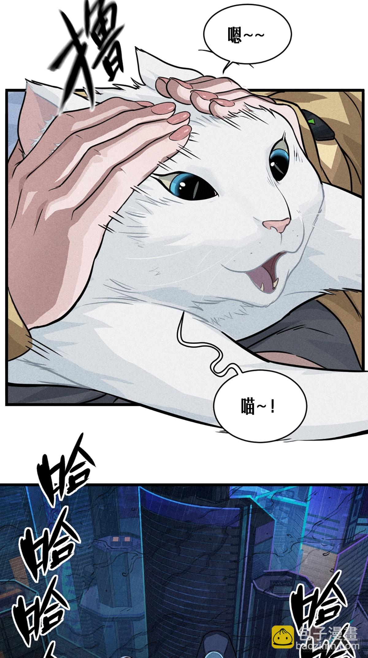 029 护猫使者（上）(1/2)-第44话