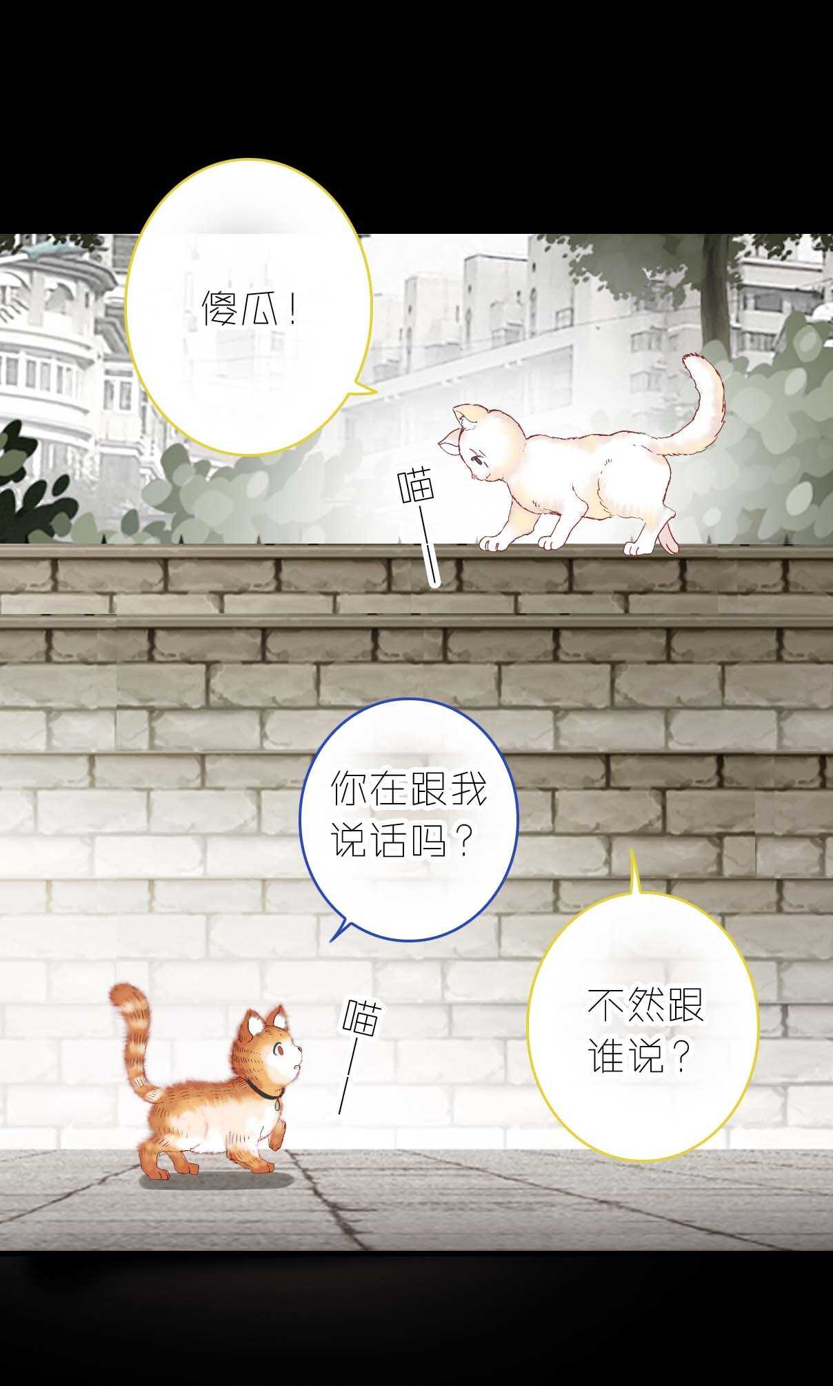 第14话-第14话