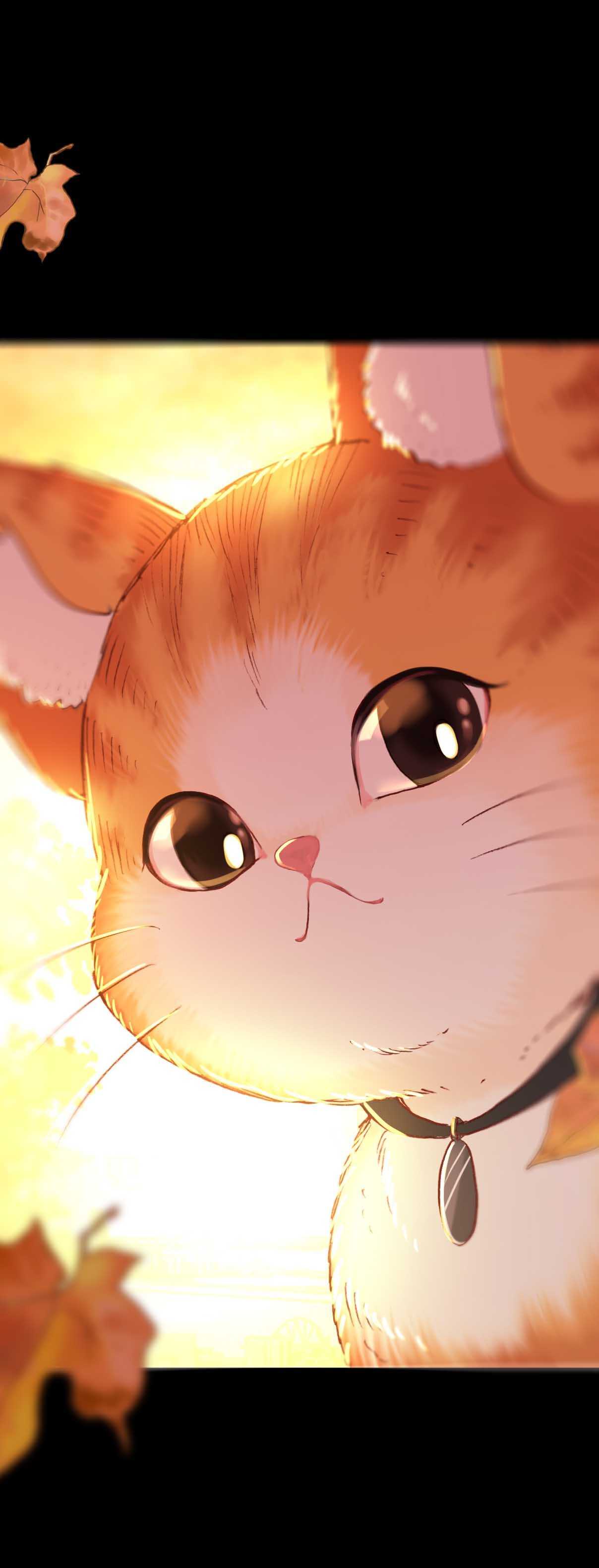 第14话-第14话