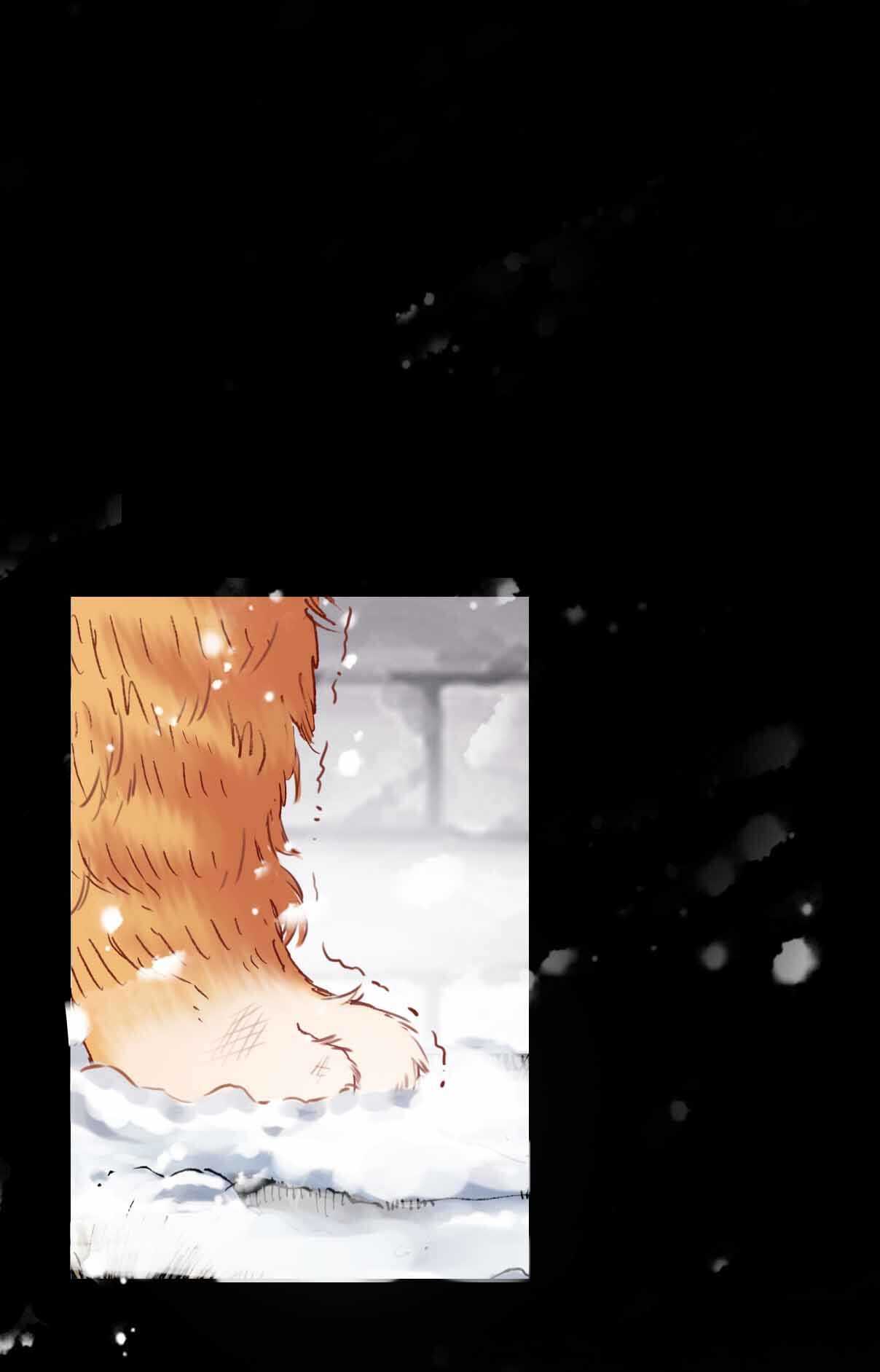 第14话-第14话