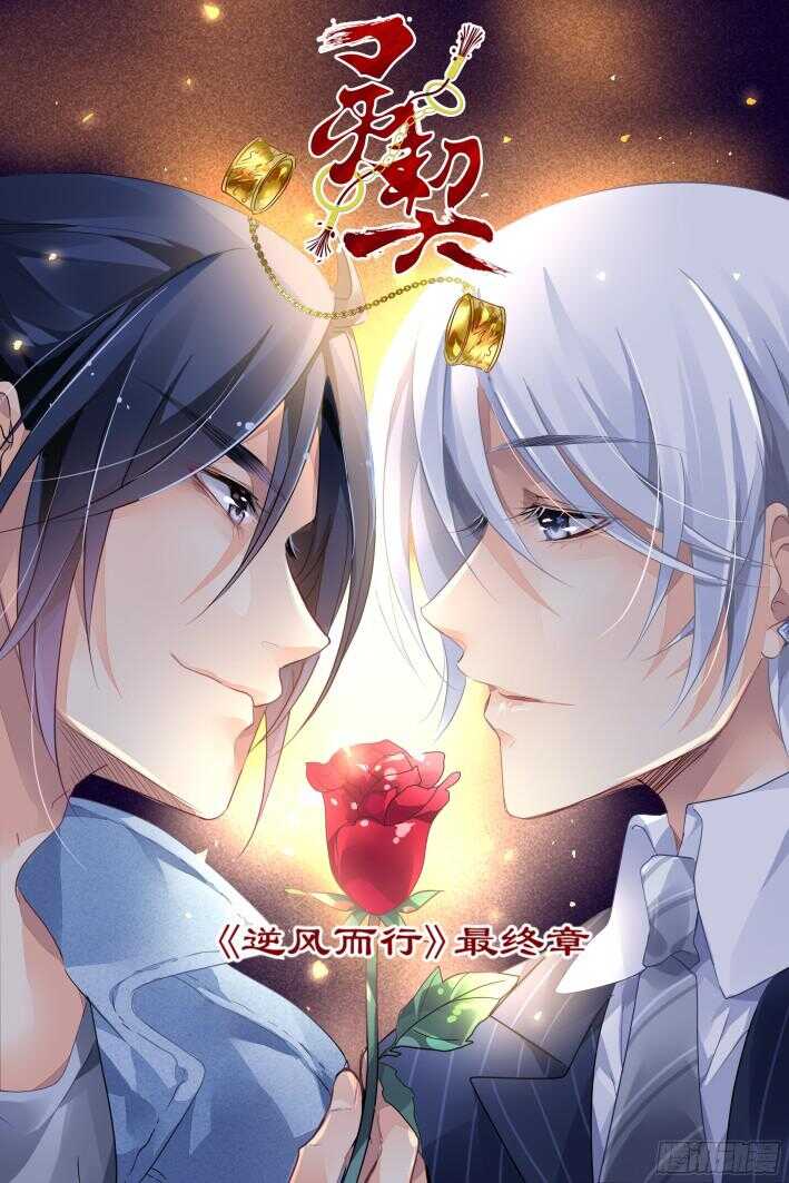 🍔灵契 273：逆风而行（十三） 第1页