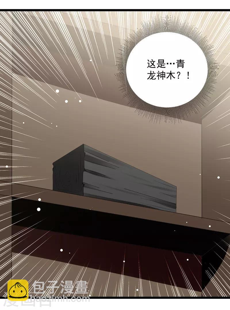 第115话 青龙神木-第116话