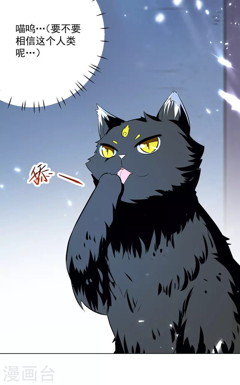 第149话 收服小猫咪-第150话