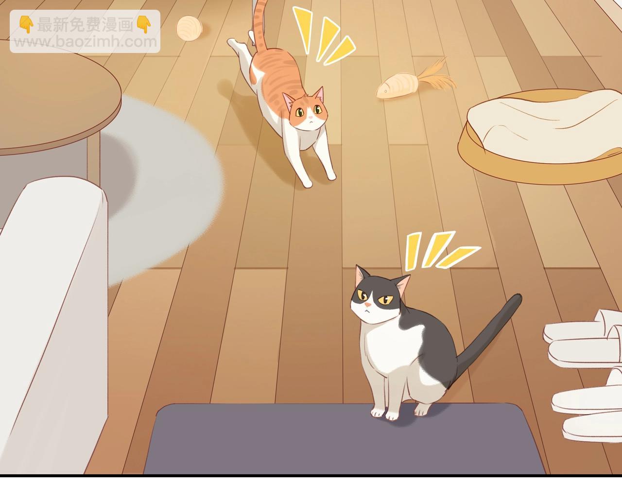 第6话  猫咪纹身(1/2)-第8话