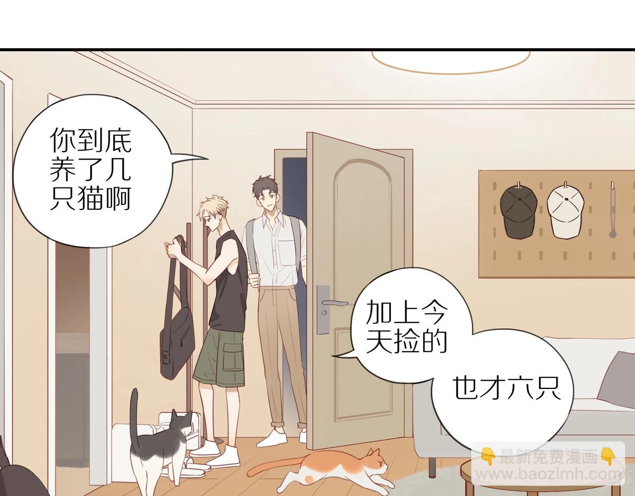 第6话  猫咪纹身(1/2)-第8话