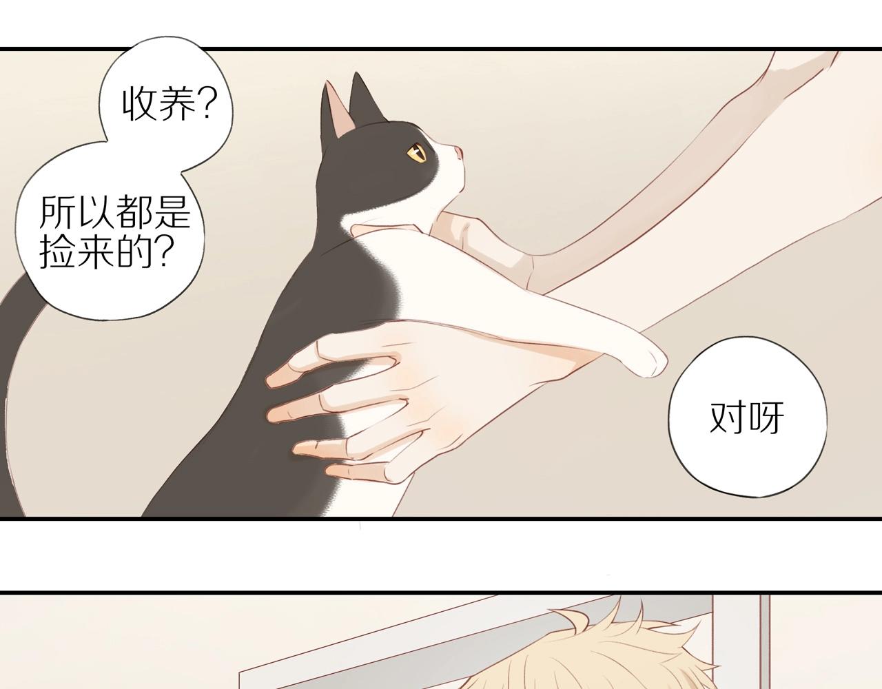 第6话  猫咪纹身(1/2)-第8话
