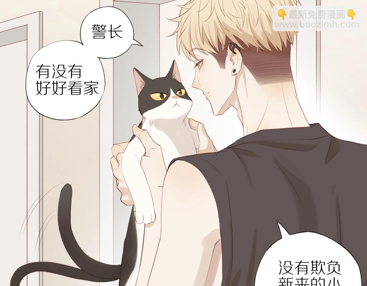 第6话  猫咪纹身(1/2)-第8话