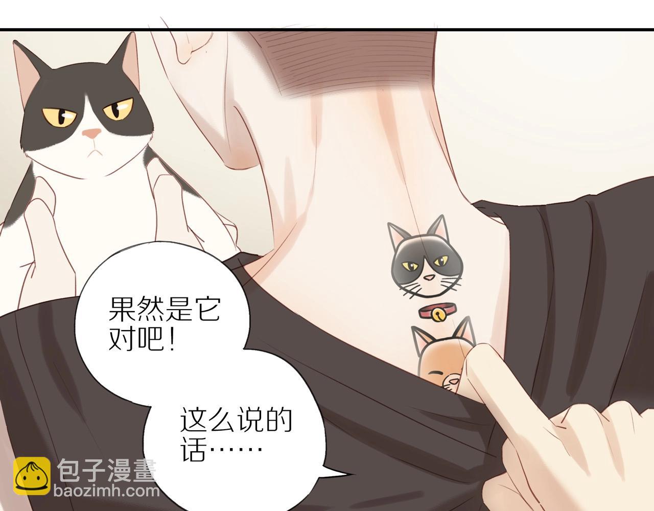 第6话  猫咪纹身(1/2)-第8话