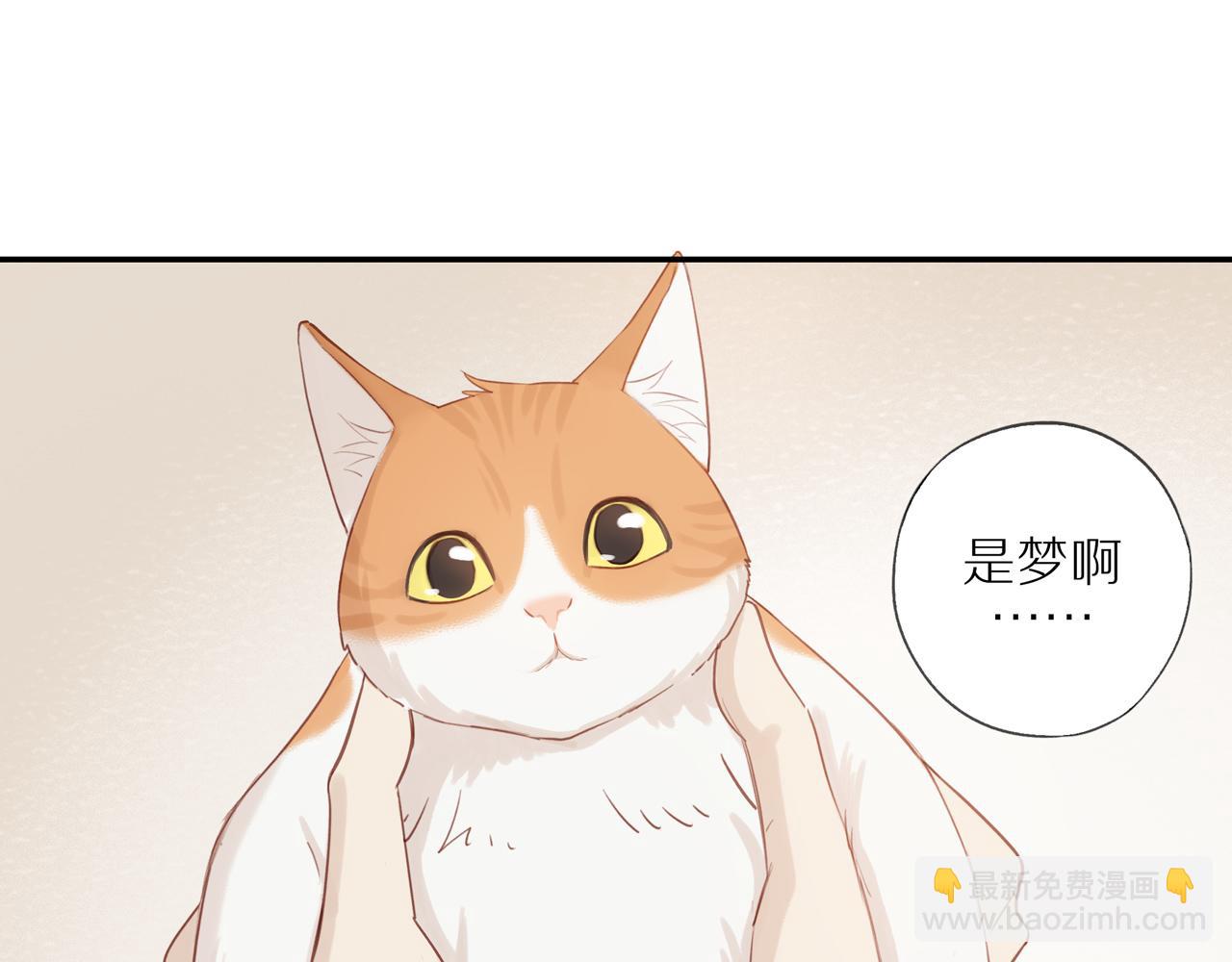 第8话  &ldquo;狗粮&rdquo;(1/2)-第10话