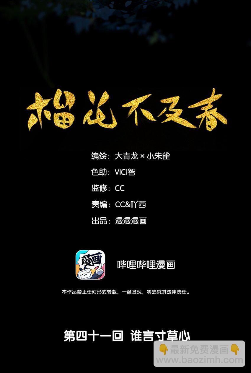 41 谁言寸草心-第46话