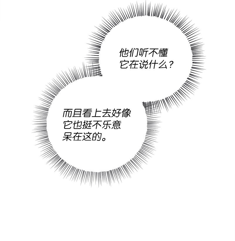 🍔龙的冒险之旅 17 会见月之子 第14页