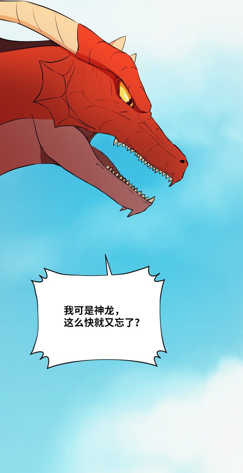 🍔龙的冒险之旅 3 初出茅庐之战 第9页