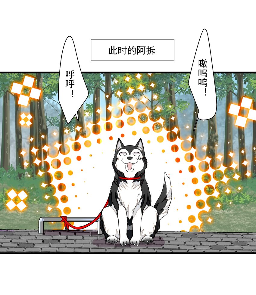 066 分离的预告-第76话