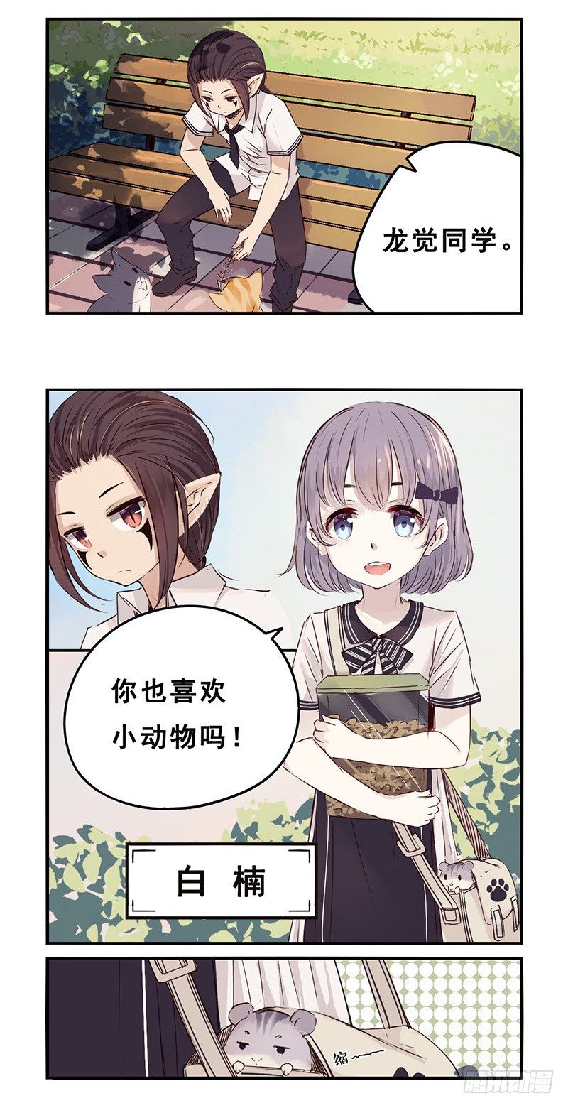 31：小黑（上）-第38话