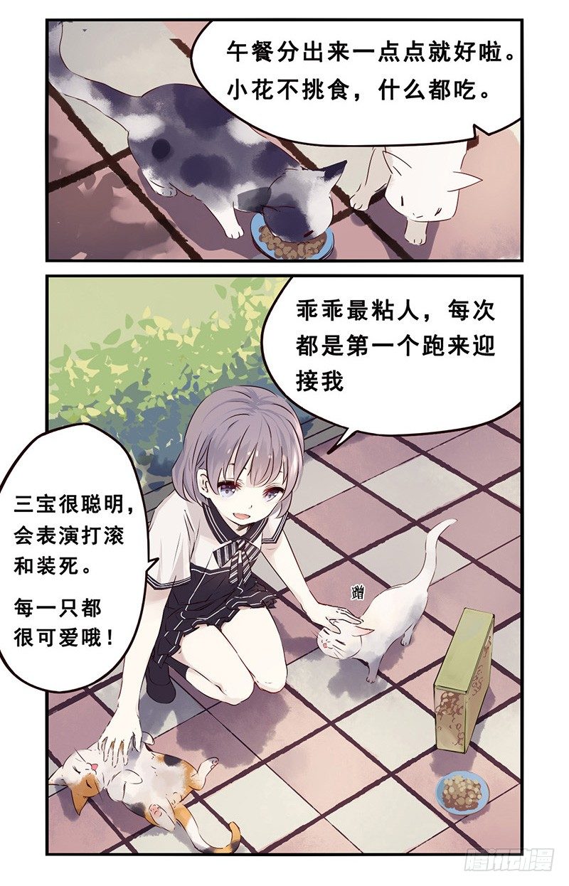 31：小黑（上）-第38话