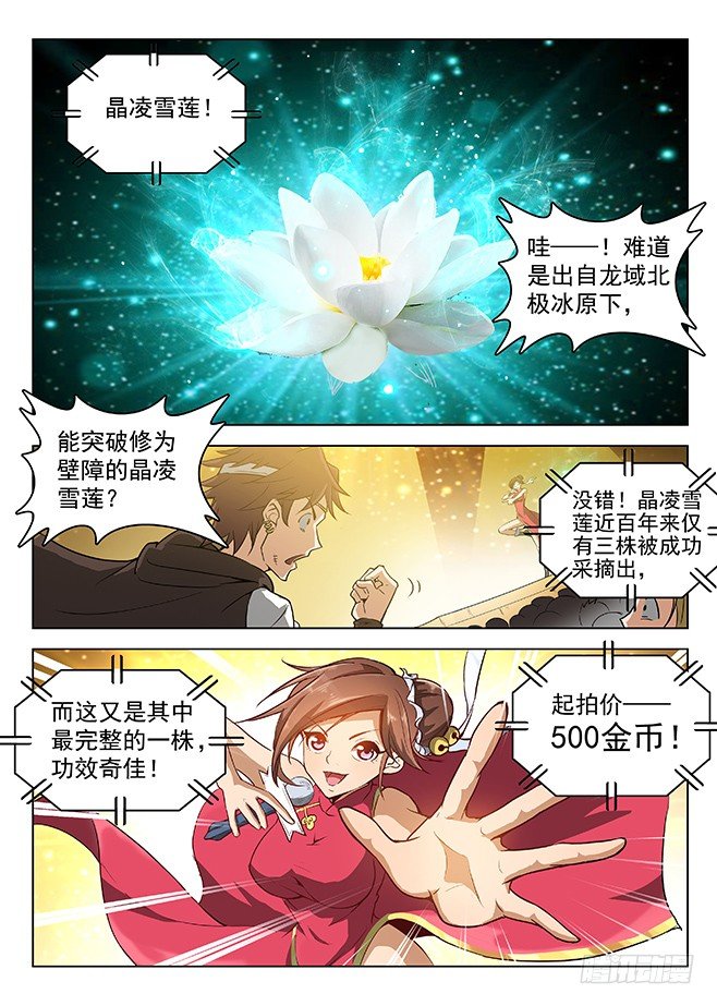 144 拍卖盛况-第146话