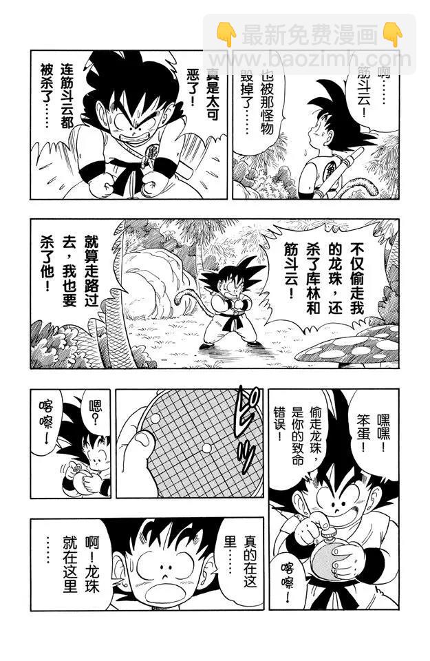 🍔龙珠 第138话 拥有龙珠的奇怪家伙！ 第5页