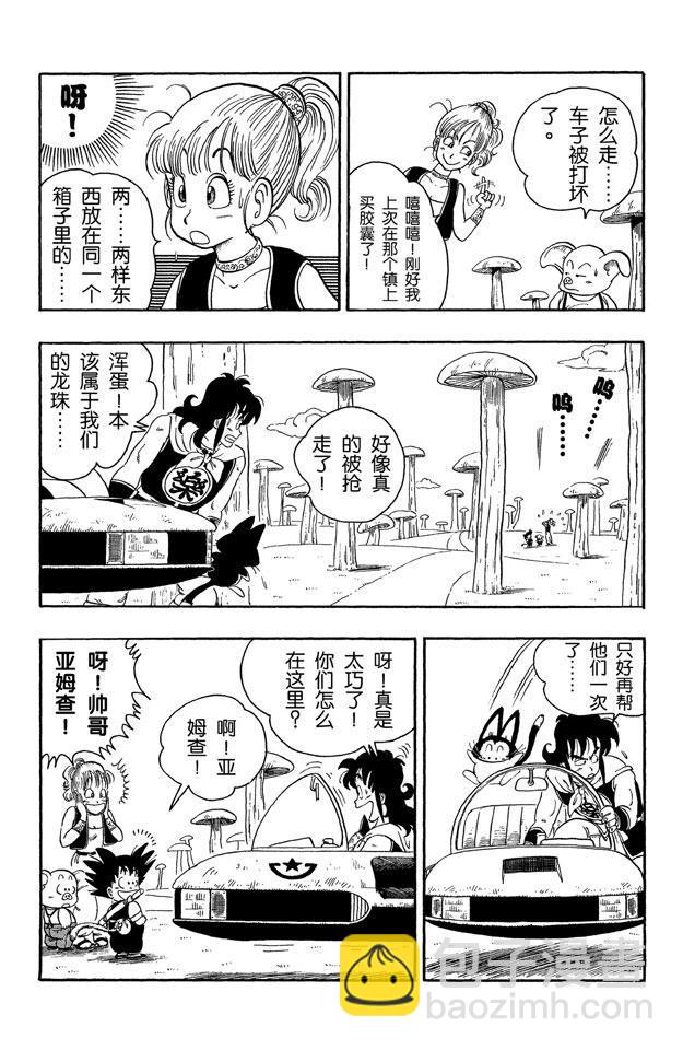 🍔龙珠 第18话 龙珠被抢！ 第10页