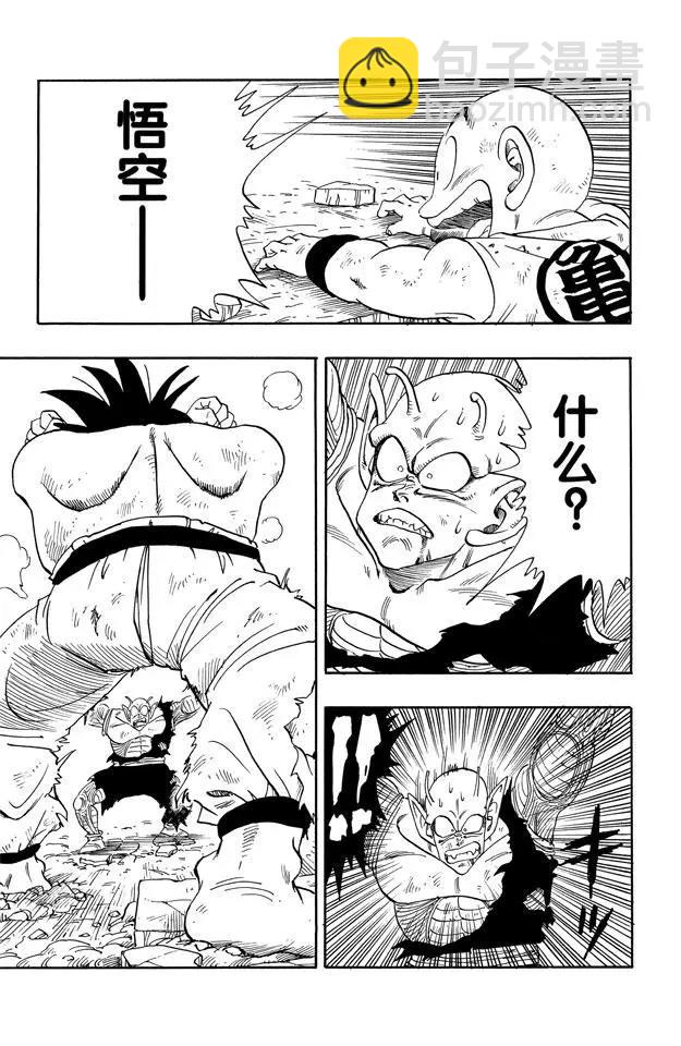🍔龙珠 第190话 站稳了！孙悟空 第13页