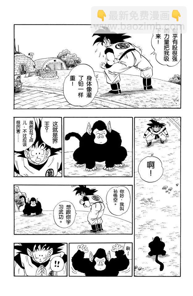 🍔龙珠 第210话 父子俩的非人修炼 第8页