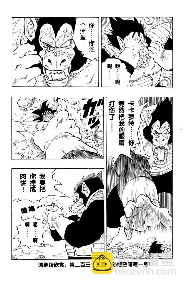 🍔龙珠 第234话 元气弹究竟会怎样？ 第15页