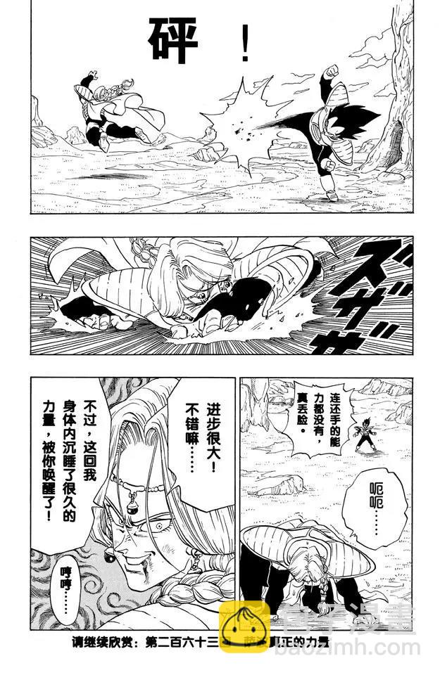 🍔龙珠 第262话 贝吉塔和萨波 第15页