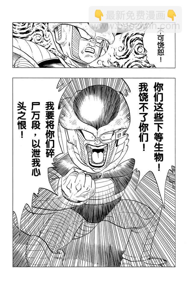 🍔龙珠 第294话 最后一个愿望 第12页