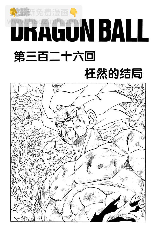 🍔龙珠 第326话 枉然的结局 第7页