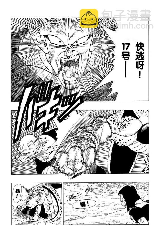 🍔龙珠 第370话 新生比克拼死的抵抗 第12页