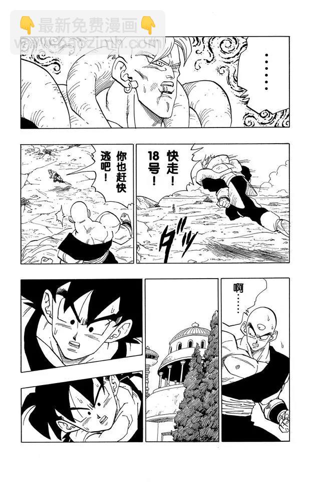 🍔龙珠 第372话 拼死的16号的力量 第13页