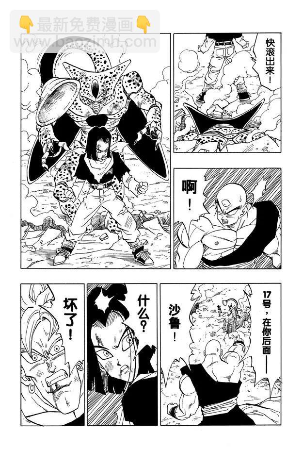 🍔龙珠 第372话 拼死的16号的力量 第9页