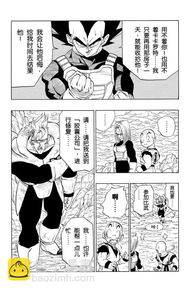 🍔龙珠 第388话 沙鲁的主意 第13页