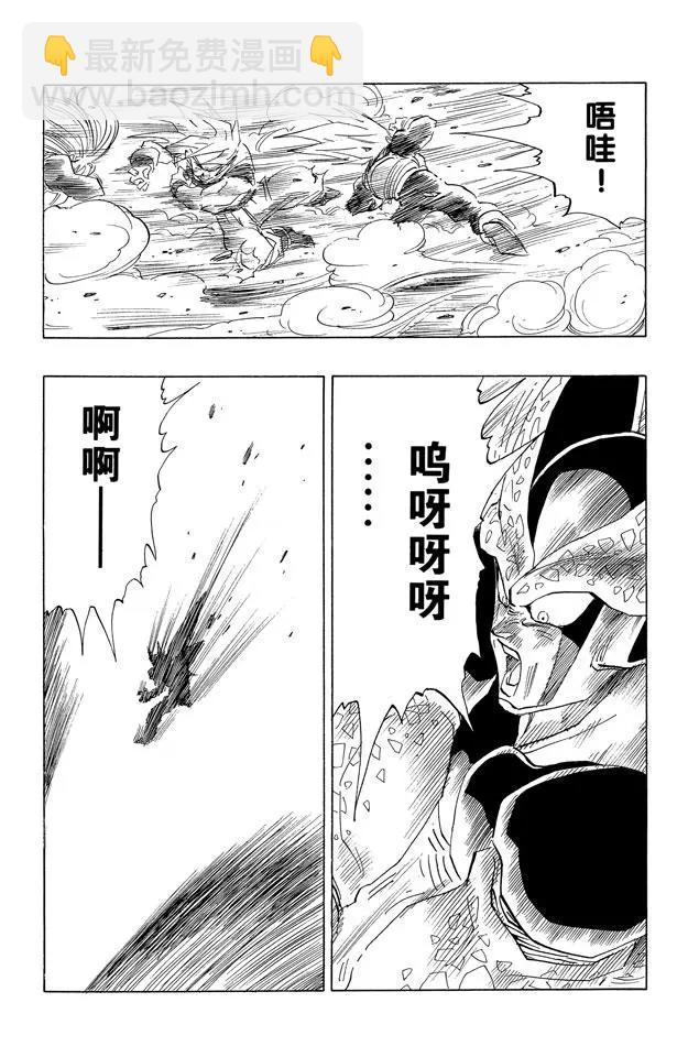 🍔龙珠 第410话 终极龟派神功 第14页