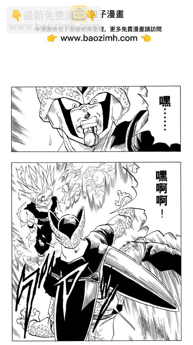 🍔龙珠 第410话 终极龟派神功 第2页