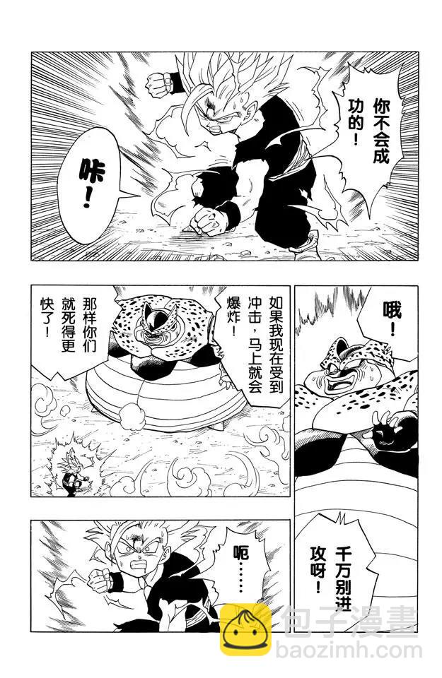 🍔龙珠 第412话 沙鲁游戏的结局 第4页